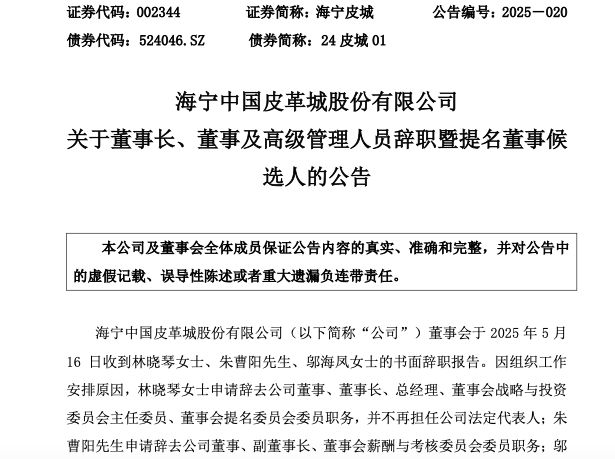 海宁皮城高层大换血！董事长及多名董事辞职，业绩连续三年下滑
