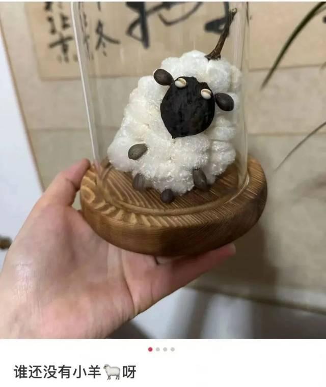这里树上长的“小绵羊”火了！全国网友都在求邮寄