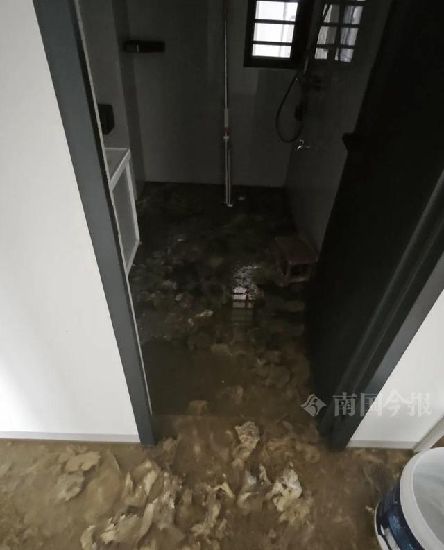 婚房被粪水浸泡漫过脚踝 业主崩溃:原定5月底乔迁