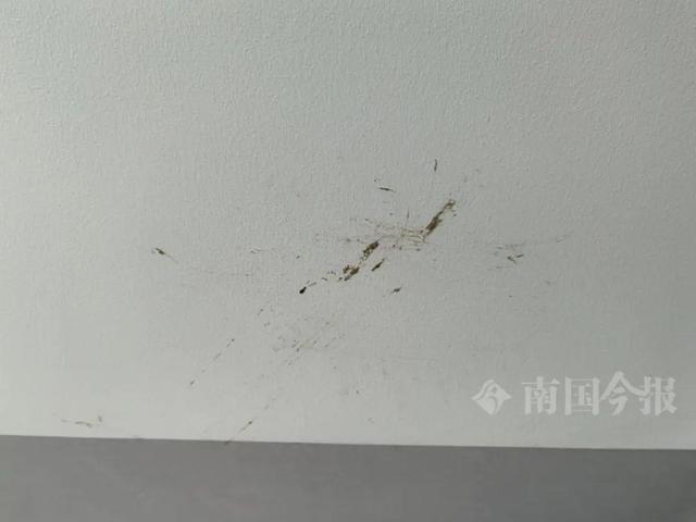 婚房被粪水浸泡漫过脚踝 业主崩溃:原定5月底乔迁