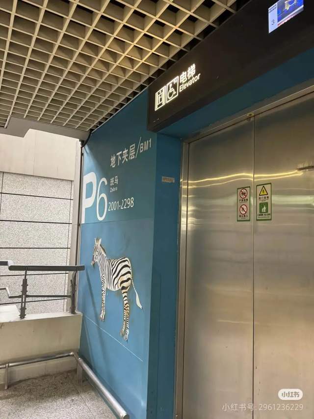 虹桥机场为什么会出现斑马、骆驼和长颈鹿？