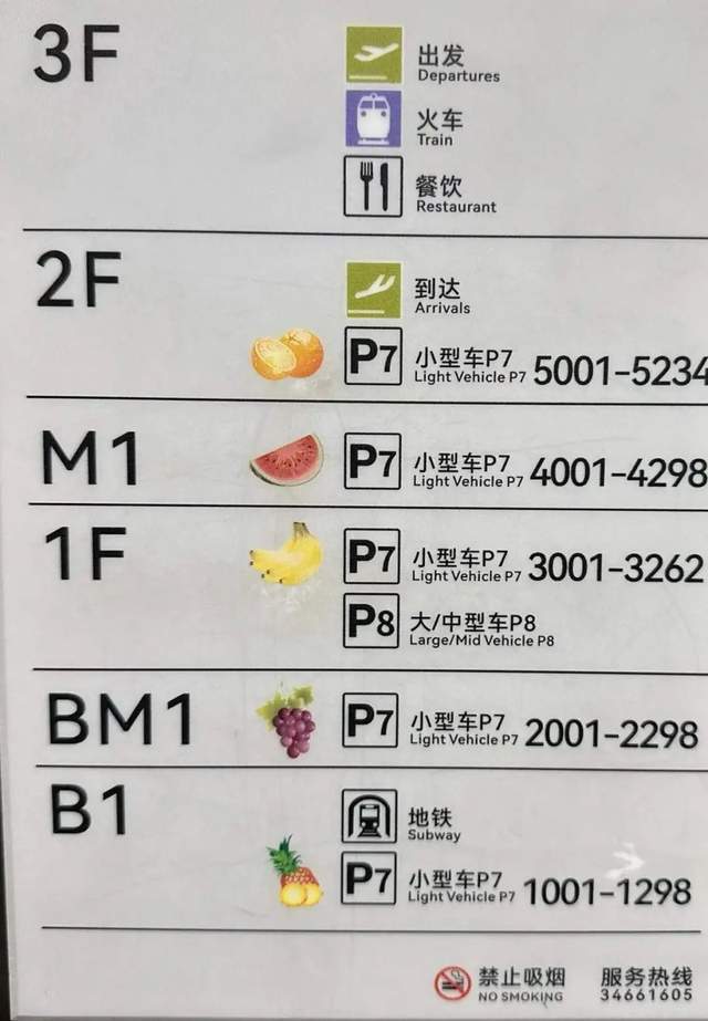 虹桥机场为什么会出现斑马、骆驼和长颈鹿？