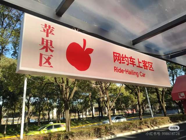 虹桥机场为什么会出现斑马、骆驼和长颈鹿？