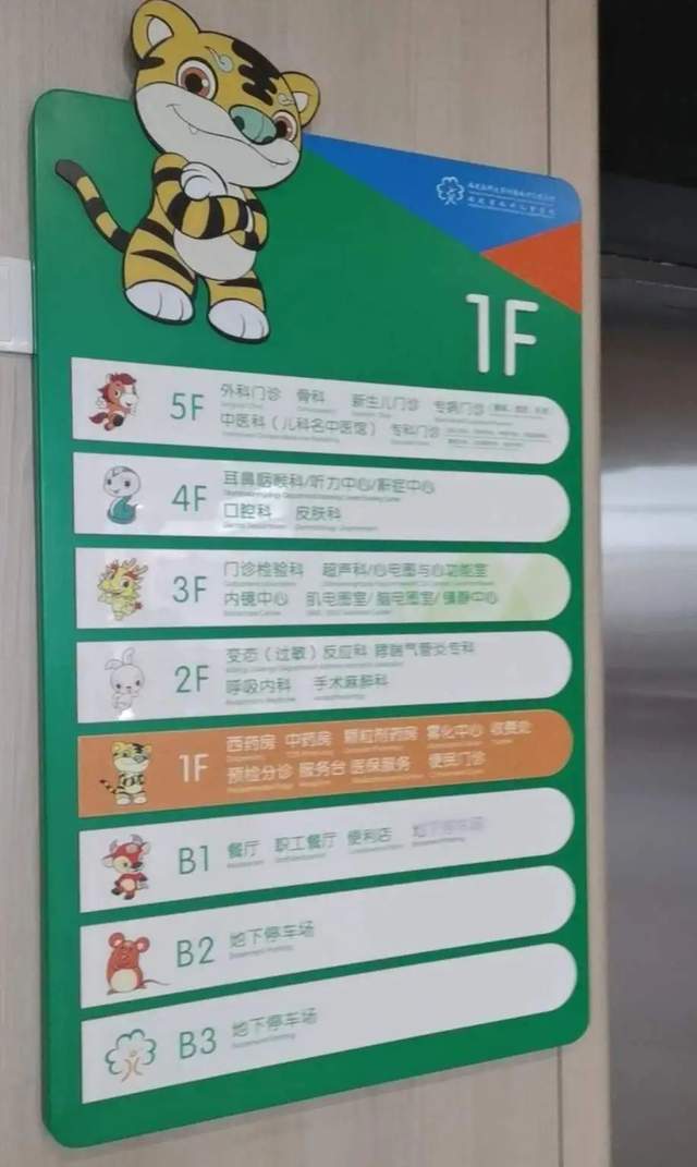 虹桥机场为什么会出现斑马、骆驼和长颈鹿？