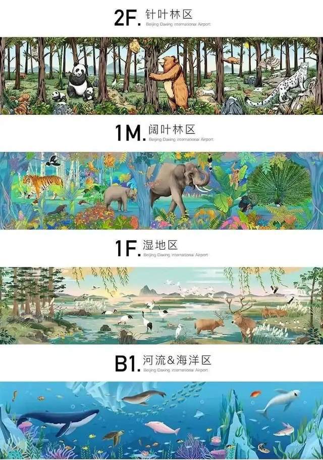 虹桥机场为什么会出现斑马、骆驼和长颈鹿？