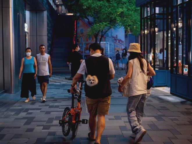 宠物店跑路，越来越多