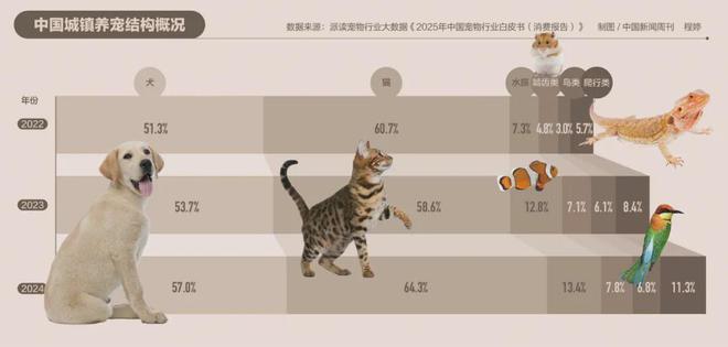 宠物店跑路，越来越多