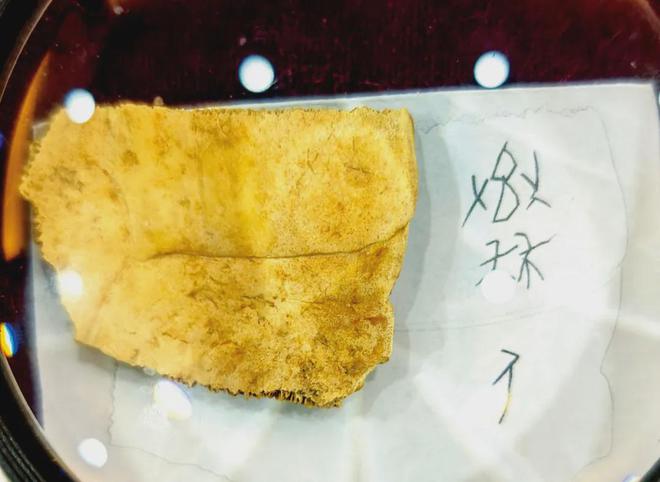 《封神》里的西岐，找到了