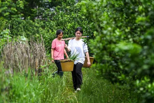 全网追的“扁担女孩”，找了一份暑假工，时薪12元