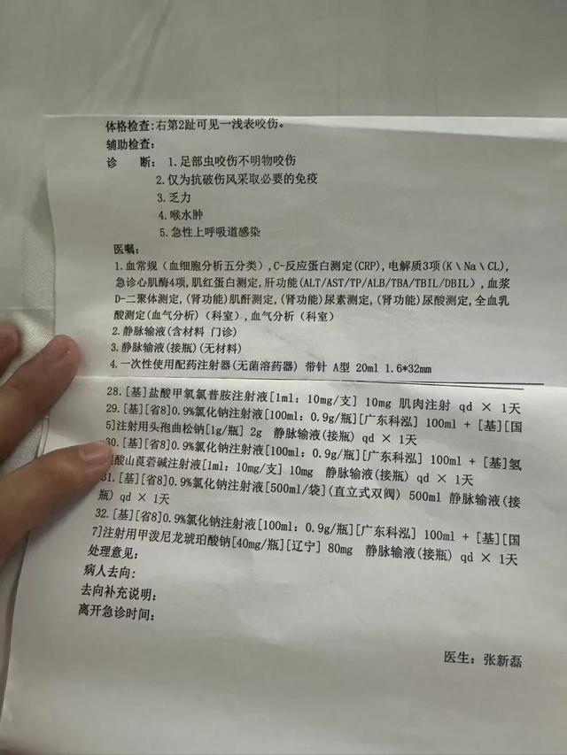 三亚游客被咬伤致死，家属最新发声