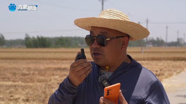 战三夏 保丰收丨延津：前脚收 后脚种，“无缝衔接”抢农时